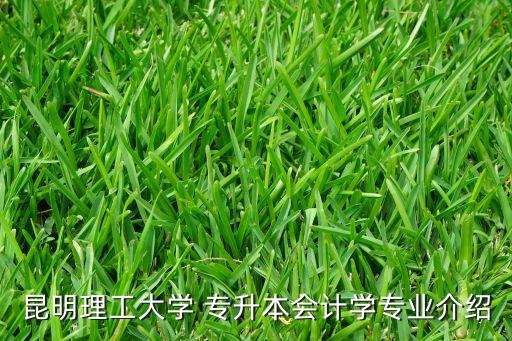 昆明理工大學(xué) 專升本會(huì)計(jì)學(xué)專業(yè)介紹