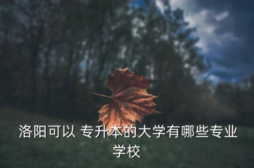 洛陽師范專升本招生辦,洛陽專升本招生辦電話