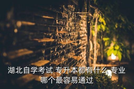 湖北自學考試 專升本都有什么 專業(yè)哪個最容易通過