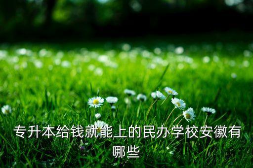  專升本給錢就能上的民辦學校安徽有哪些