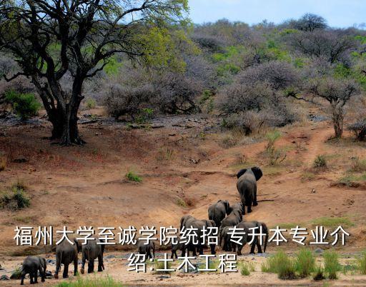 福州大學至誠學院統(tǒng)招 專升本專業(yè)介紹:土木工程