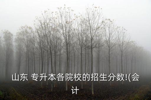 齊魯醫(yī)學院專升本錄取,山東大學齊魯醫(yī)學院專升本