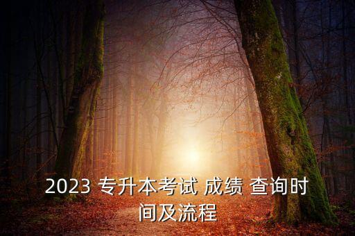 2023 專升本考試 成績 查詢時間及流程