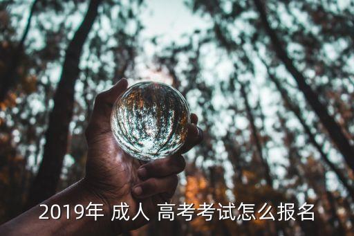 2019年 成人 高考考試怎么報(bào)名