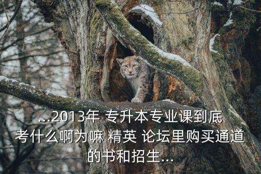 ...2013年 專升本專業(yè)課到底考什么啊為嘛 精英 論壇里購買通道的書和招生...