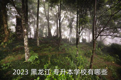 2023 黑龍江 專升本學(xué)校有哪些