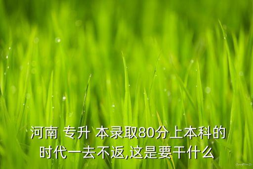  河南 專升 本錄取80分上本科的時代一去不返,這是要干什么