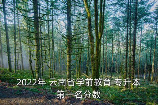 2022年 云南省學(xué)前教育 專升本第一名分?jǐn)?shù)