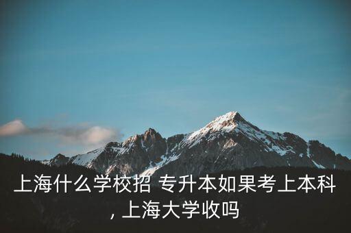 上海什么學(xué)校招 專升本如果考上本科, 上海大學(xué)收嗎