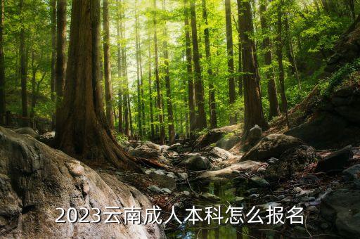 云南招考頻道專升本錄取查詢,2022云南專升本錄取查詢時間