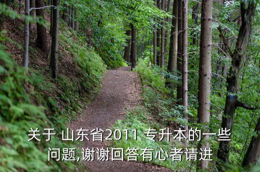 山東文經(jīng)學院專升本投檔線,2022山東專升本投檔線