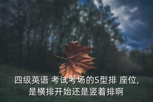 四級英語 考試考場的S型排 座位,是橫排開始還是豎著排啊