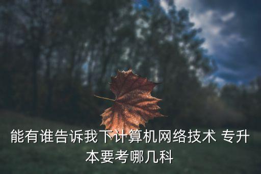 能有誰(shuí)告訴我下計(jì)算機(jī)網(wǎng)絡(luò)技術(shù) 專升本要考哪幾科