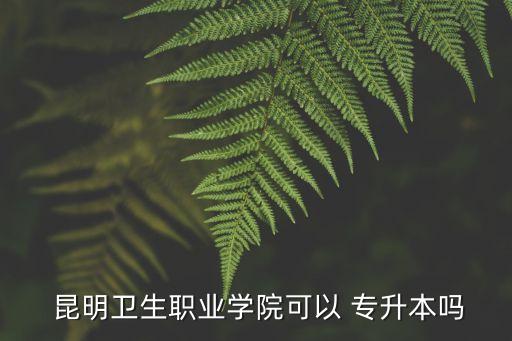  昆明衛(wèi)生職業(yè)學(xué)院可以 專升本嗎