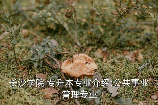 長(zhǎng)沙學(xué)院 專升本專業(yè)介紹:公共事業(yè) 管理專業(yè)