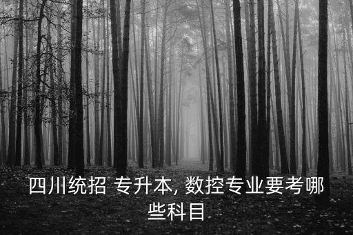 數(shù)控專升本考試考什么,專升本考試專業(yè)課考什么