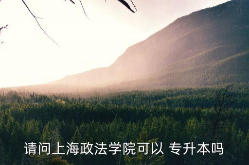 上海大學(xué)有哪些可以專升本的