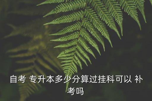 自考 專(zhuān)升本多少分算過(guò)掛科可以 補(bǔ)考嗎