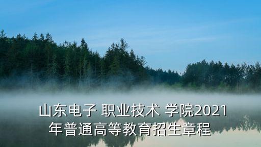  山東電子 職業(yè)技術(shù) 學(xué)院2021年普通高等教育招生章程