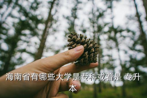 海南省有哪些大學(xué)是專科或著是 專升本