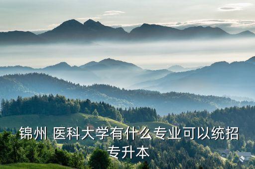  錦州 醫(yī)科大學(xué)有什么專業(yè)可以統(tǒng)招 專升本