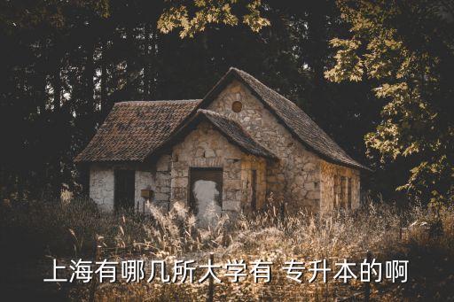 上海有哪幾所大學(xué)有 專升本的啊