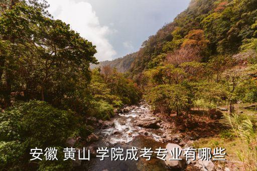 安徽 黃山 學(xué)院成考專業(yè)有哪些