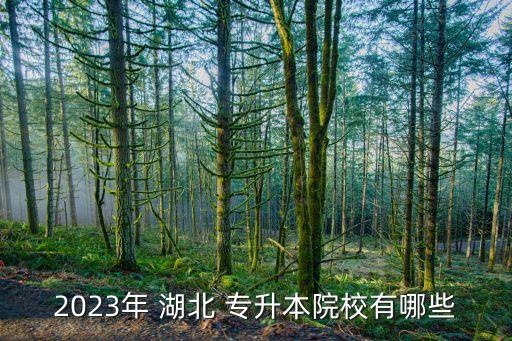 湖北f理工學院專升本,湖北理工學院專升本2022分數(shù)線