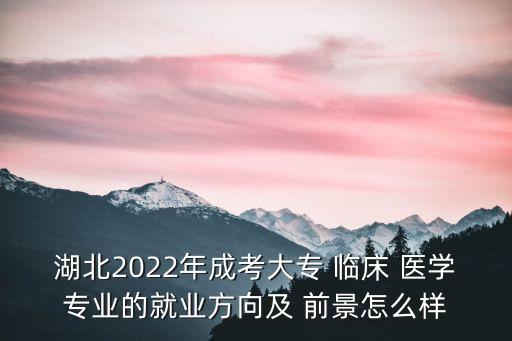 湖北2022年成考大專 臨床 醫(yī)學(xué)專業(yè)的就業(yè)方向及 前景怎么樣