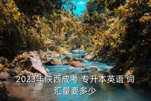 2023年陜西成考 專升本英語 詞匯量要多少