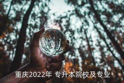  重慶2022年 專升本院校及專業(yè)