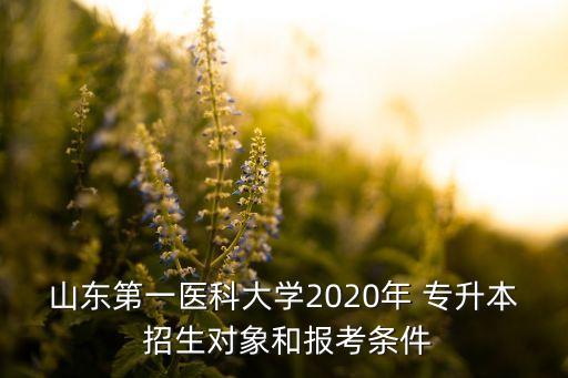 山東第一醫(yī)科大學(xué)2020年 專(zhuān)升本 招生對(duì)象和報(bào)考條件