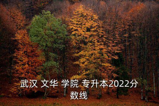 武漢 文華 學(xué)院 專升本2022分?jǐn)?shù)線