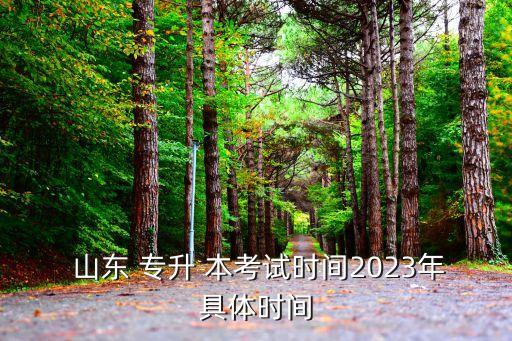  山東 專升 本考試時(shí)間2023年具體時(shí)間