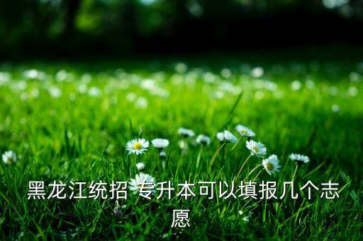 2016年黑龍江專升本招生計劃,黑龍江工業(yè)學院專升本招生計劃