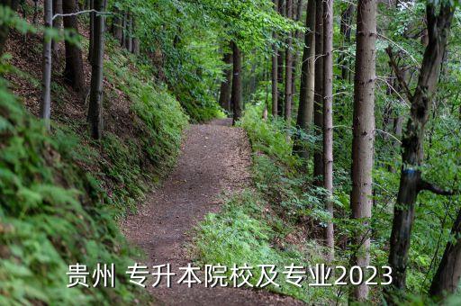 貴州 專升本院校及專業(yè)2023