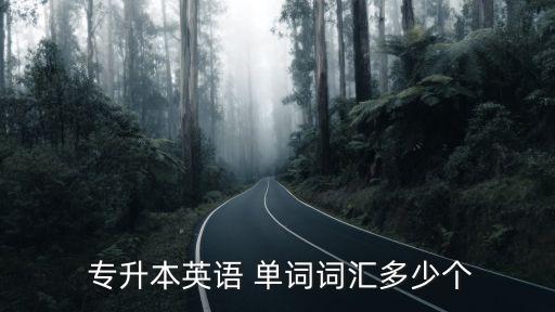  專升本英語 單詞詞匯多少個(gè)