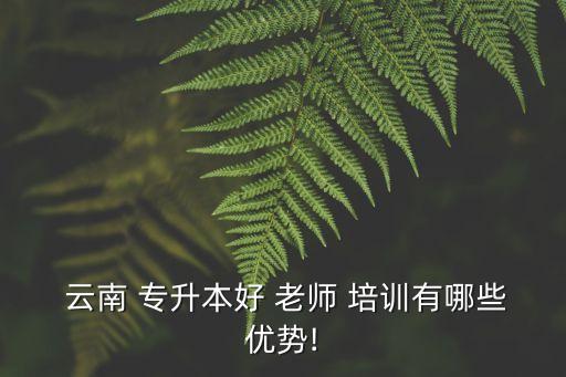  云南 專升本好 老師 培訓(xùn)有哪些優(yōu)勢(shì)!