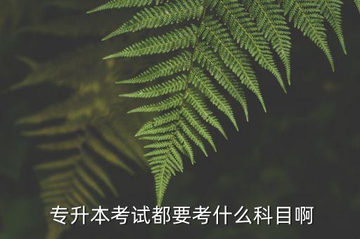 2017專升本生態(tài)學基礎(chǔ),專升本2017年高數(shù)真題