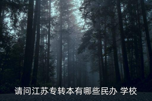 請問江蘇專轉本有哪些民辦 學校