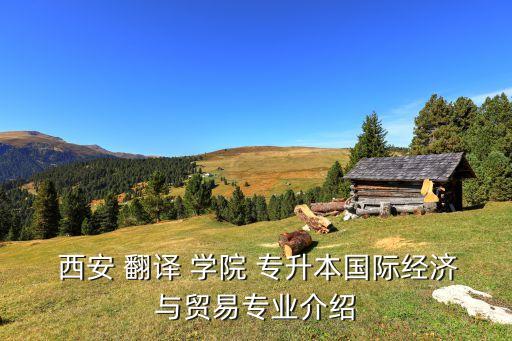  西安 翻譯 學院 專升本國際經(jīng)濟與貿(mào)易專業(yè)介紹