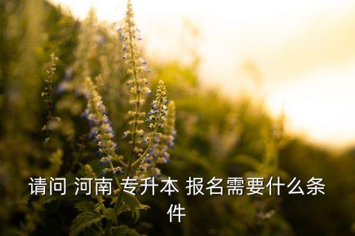 請(qǐng)問 河南 專升本 報(bào)名需要什么條件