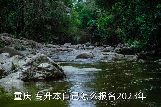 重慶 專(zhuān)升本自己怎么報(bào)名2023年