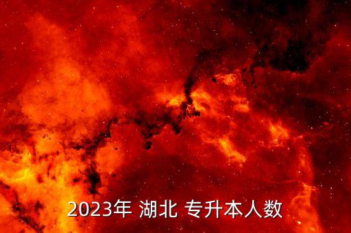 2023年 湖北 專升本人數(shù)