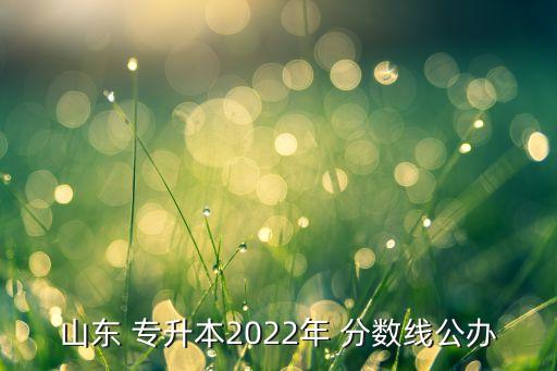 山東 專升本2022年 分數線公辦