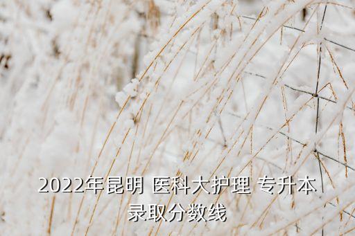 2022年昆明 醫(yī)科大護(hù)理 專升本錄取分?jǐn)?shù)線