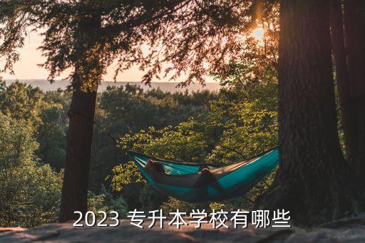 2023 專升本學(xué)校有哪些