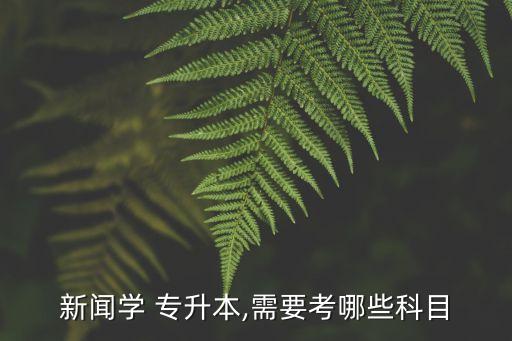 專升本傳播學(xué)題目,上海建橋?qū)W院傳播學(xué)專升本