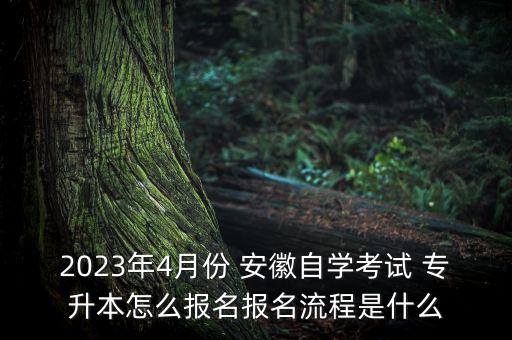 2023年4月份 安徽自學(xué)考試 專(zhuān)升本怎么報(bào)名報(bào)名流程是什么