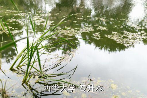 西華大學(xué) 專升本